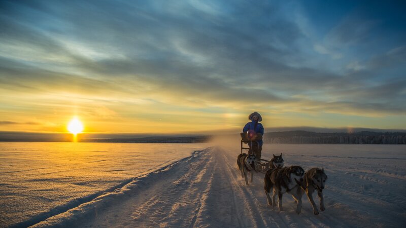 Lapland - Husky - Safari - Sneeuw (11)