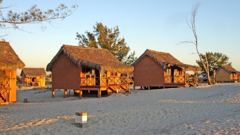 Madagaskar-Morondava-le-palissandre-cote-ouest-12