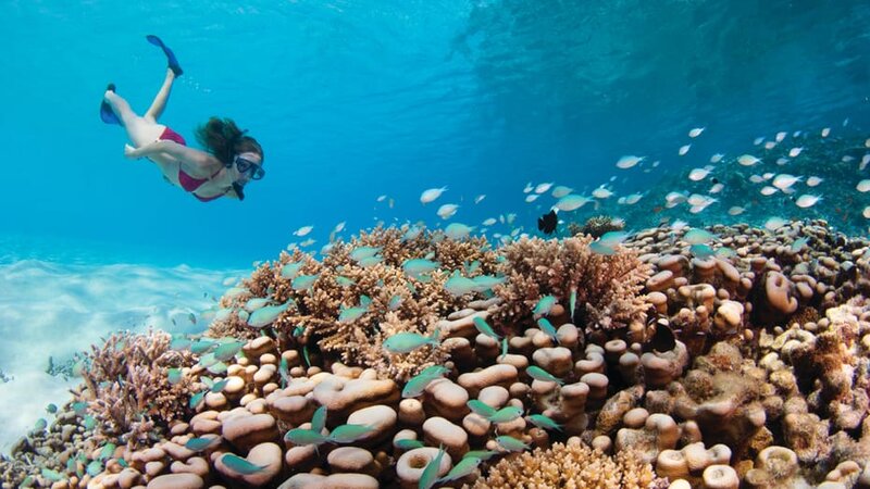 Malediven-Voavah-eiland-Four-Seasons-Baa-Atoll-snorkelen