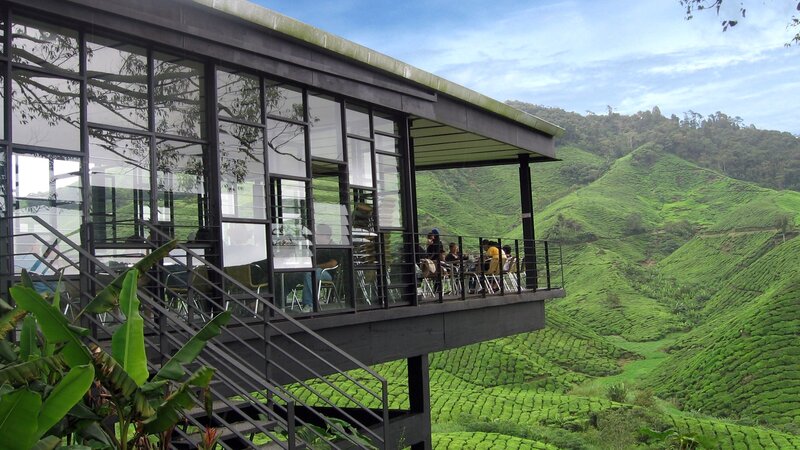 Maleisië-Cameron-Highlands-Excursie-BOH-Tea-café-met-uitzicht