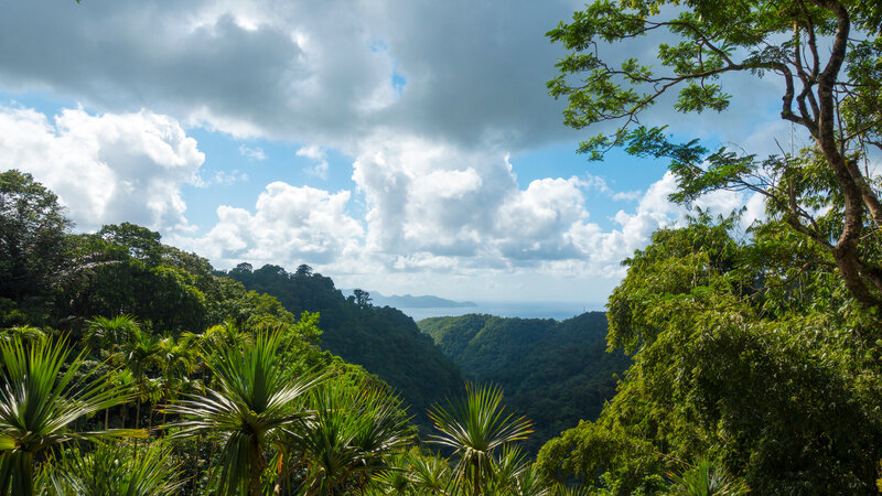 Martinique-Botanische tuinen Balata