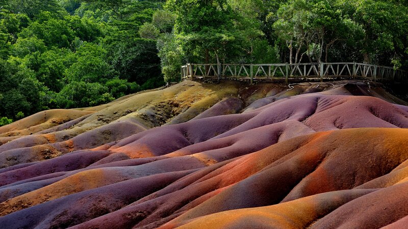 Mauritius-algemeen-Black River Gorges National Park (1)