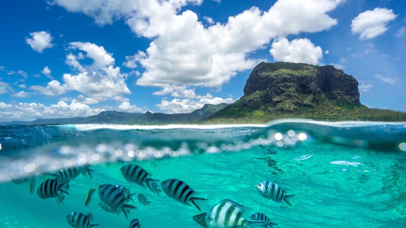 Mauritius-resized (1)