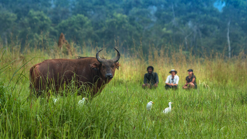mboko-camp-buffel