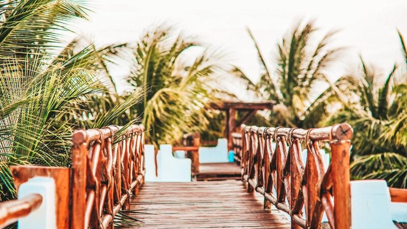 Mexico-Yucatan-Isla-Holbox-Hotels-Las-Nubes-de-Holbox-palmbomen