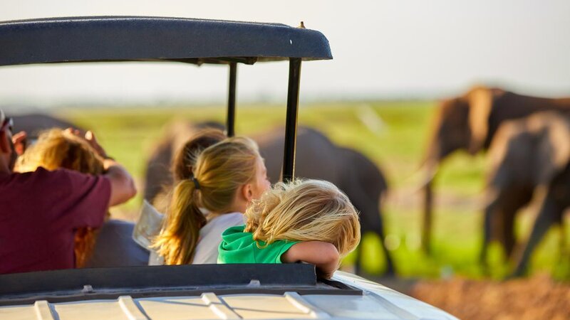 Amazing familiesafari in Kenia