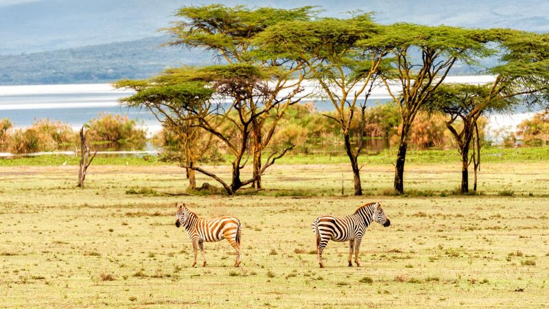 Amazing combinatiereis Kenia, Tanzania en Zanzibar