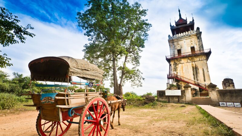 Myanmar-Mingun-hoogtepunt-ossenkar