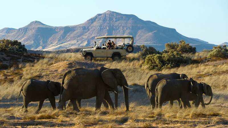 Amazing Familiereis naar Namibië