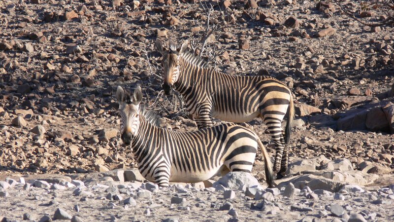 Namibië-Damaraland-hoogtepunt (1)