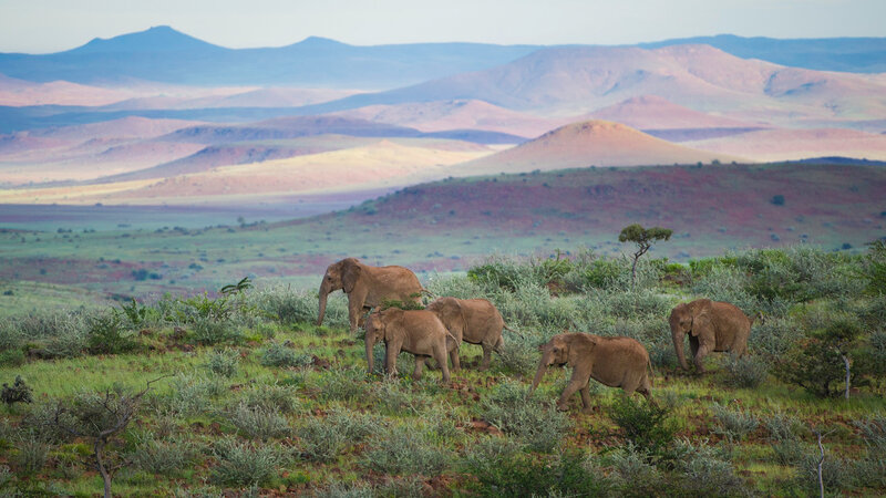 Namibië-Damaraland-hoogtepunt (4)