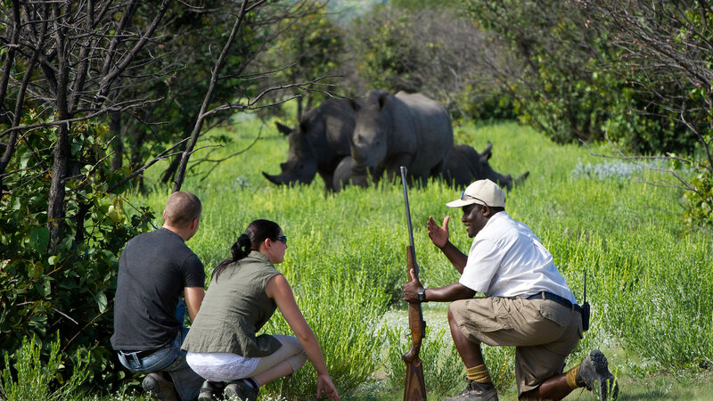 Namibie-Etosha-West-hotel-Ongava Lodge-Excursie