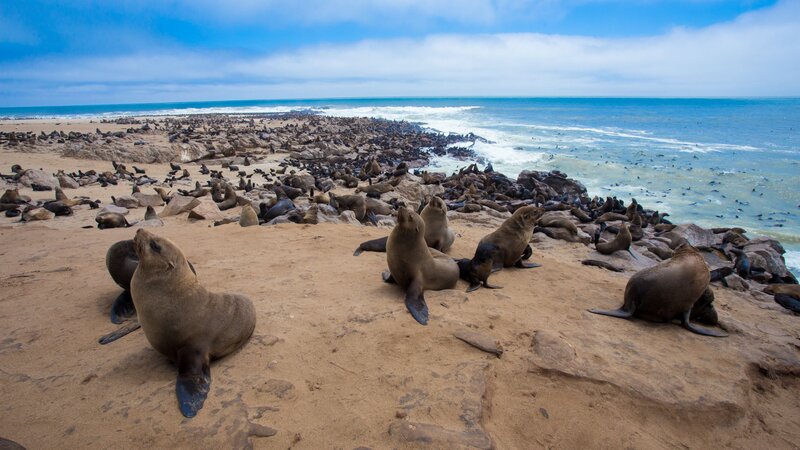 Namibië-Hoogtepunt6-Swakopmund