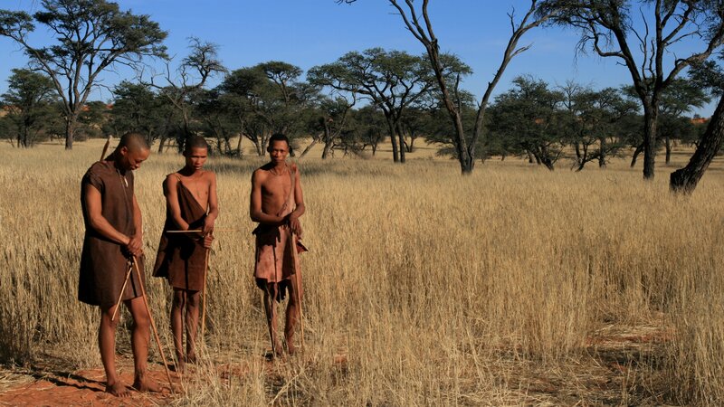 Namibië-Kalahari-hoogtepunt (2)