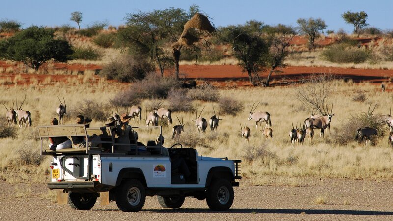 Namibië-Kalahari-hoogtepunt (3)