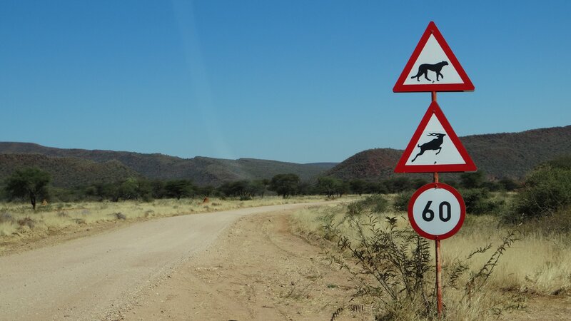 Namibië-okonjima-resized (1)