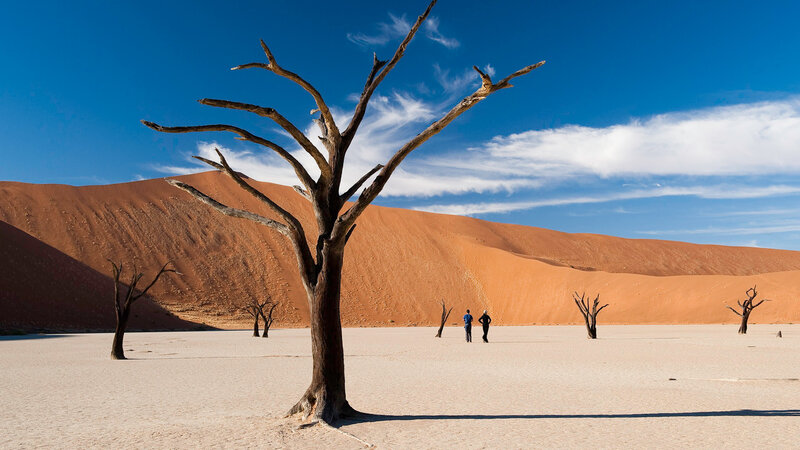 Namibië-Sossusvlei-hoogtepunt (7)