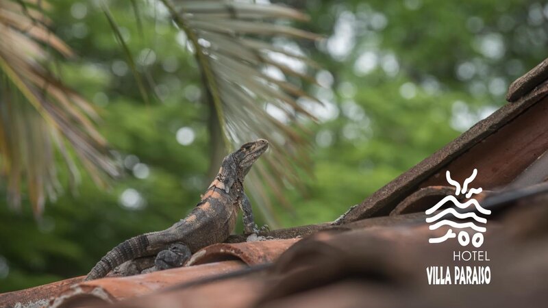 Nicaragua - Ometepe - Villa paraíso  (27)