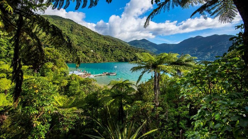 Nieuw-Zeeland-Marlborough-Hotels-Punga Cove Resort-uitzicht