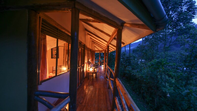 Oeganda-Bwindi Impenetrable Forest-Gorilla Safari Lodge (20)