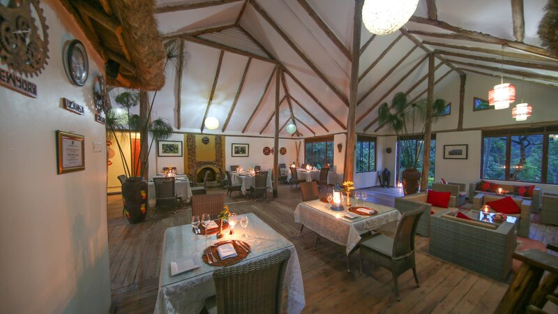 Oeganda-Bwindi Impenetrable Forest-Gorilla Safari Lodge (6)