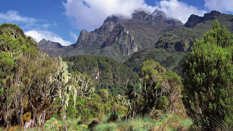 Oeganda-Queen Elizabeth National Park (8)