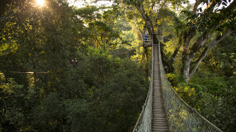 Peru-Puerto-Maldonado-Inkaterra-Haciënda-Concepcion-Hangbrug