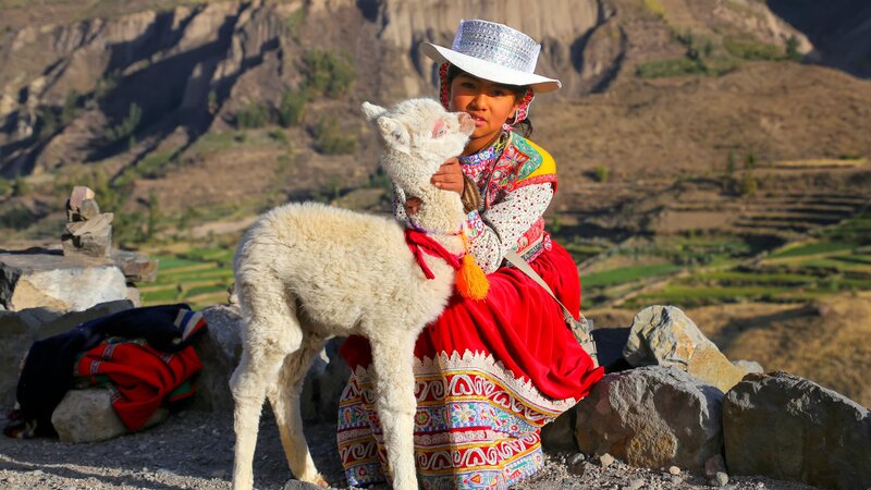 Peru - Valle del Colca - Arequipa - Colca canyon (7)