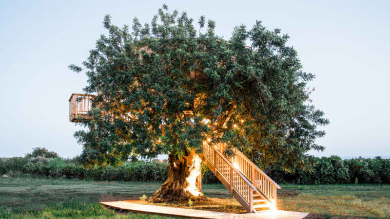 Portugal-Algarve-Hotel-Conversas-de-Alpendre-treehouse