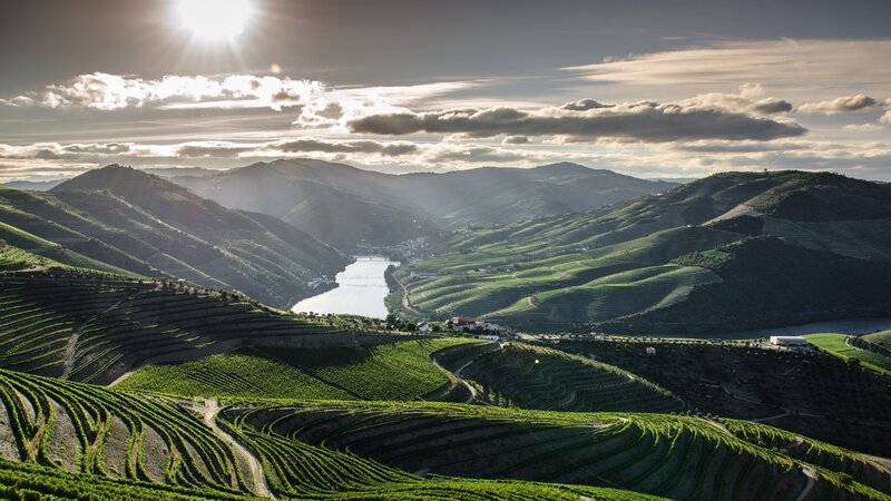 Portugal - Douro vallei  (1)