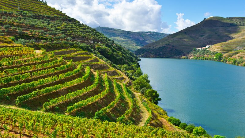 Portugal - Douro vallei  (5)