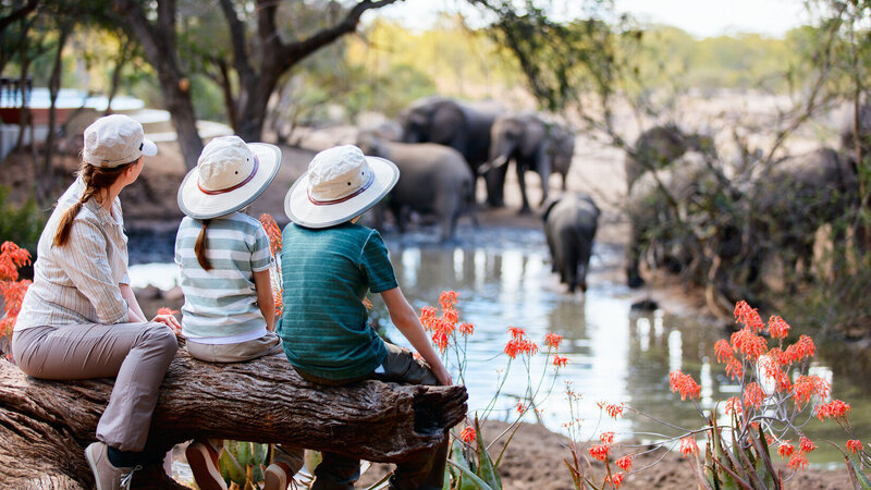 Amazing familiereis in Zuid-Afrika