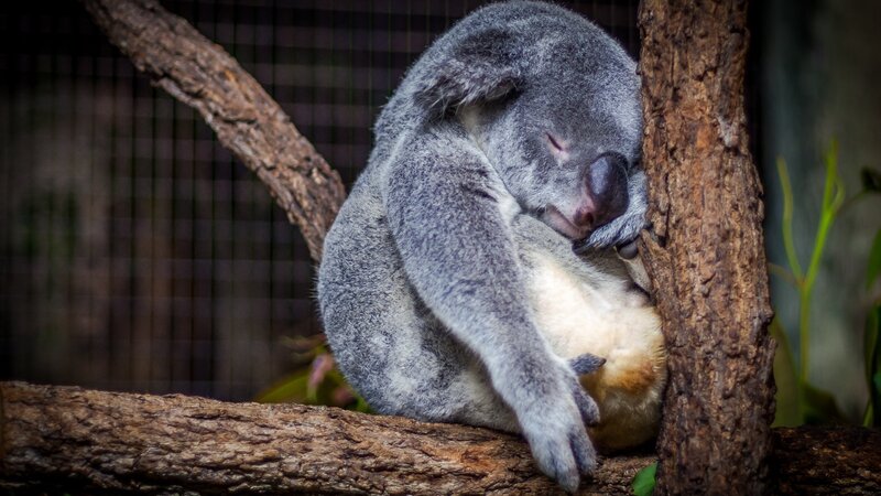 Uitgebreide rondreis door Australië