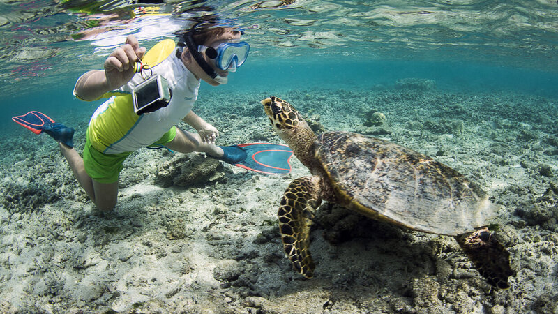 rsz_la-reunion-westkust-excursie-watersport-snorkelen-credit-irt-_cedric_peneau