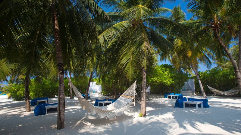rsz_malediven-south-malé-atoll-velassaru-fen-bar-garden