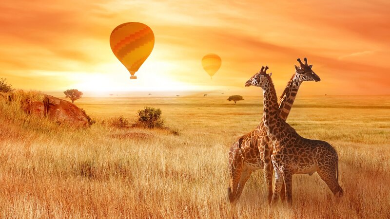 rsz_tanzania-serengeti-excursie-hot-air-ballooning-boven-serengeti_2