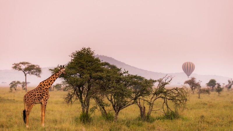 rsz_tanzania-serengeti-excursie-hot-air-ballooning-boven-serengeti_6