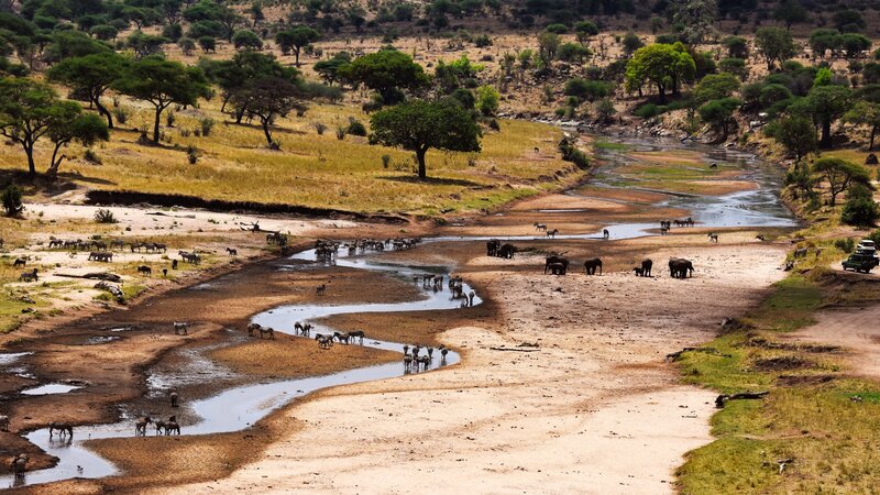 rsz_tanzania-tarangire-np_3