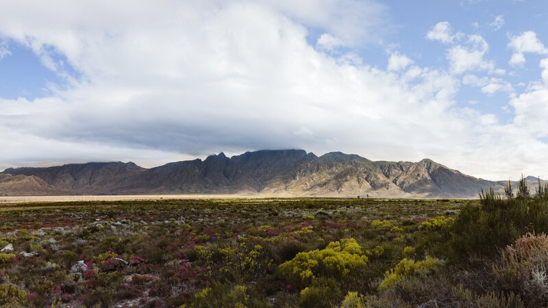 rsz_zuid-afrika-hoogtepunt-westkaap-overberg