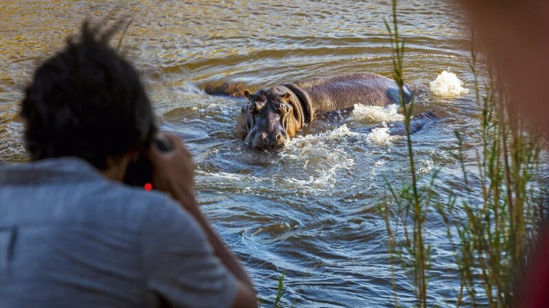 rsz_zuid-afrika-saint-lucia-excursie-hippo-crocodile-boattour-4