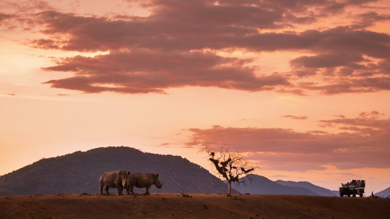 rsz_zuid-afrika-thornybush-streek-gamedrive-2