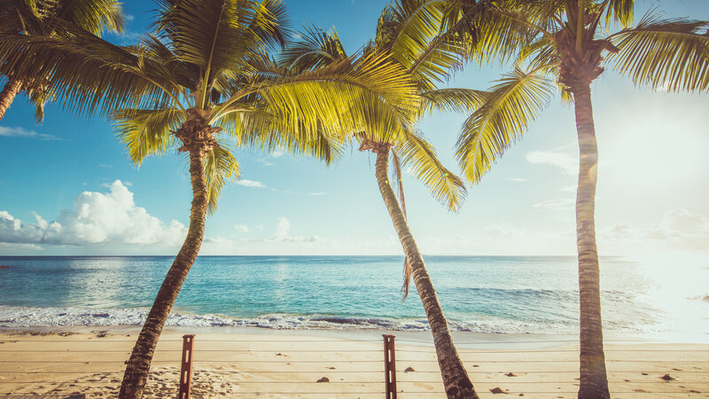 Seychellen-Mahe-Carana-Beach-palmbomen-strand