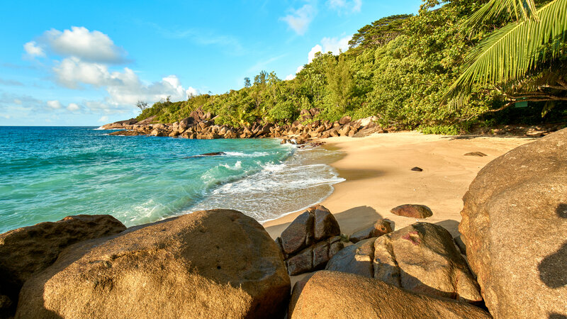 Seychellen-Mahé-Excursie-Anse-Major-nature-trail 3