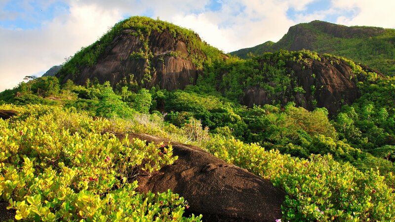 Seychellen-Mahé-Excursie-Anse-Major-nature-trail