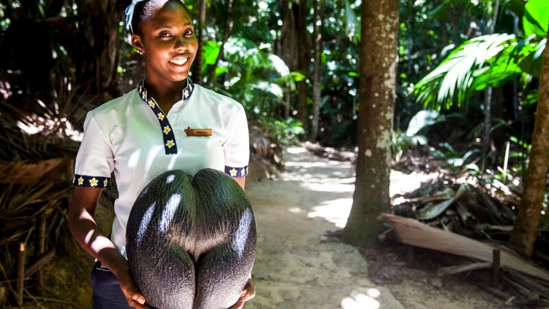 Seychellen-Mahé-Excursie- Enchanted Walk In The Vallee de Mai-3