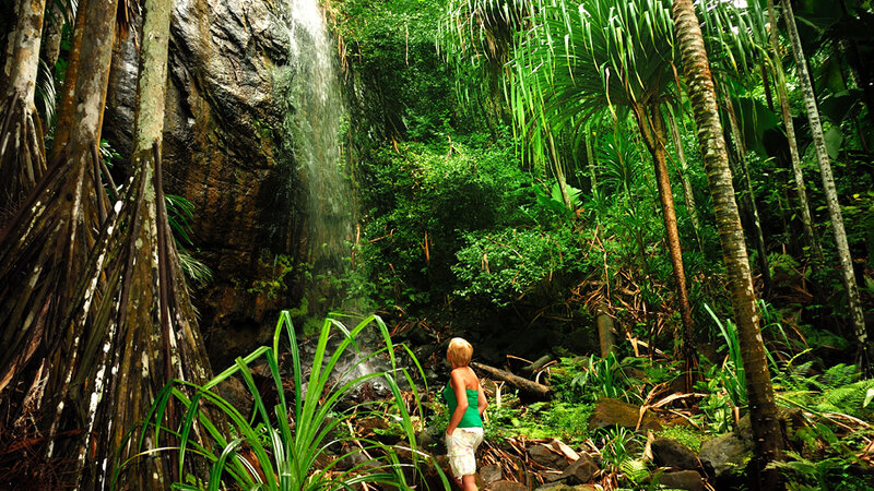 Seychellen-Mahé-Excursie-Vallee de Mai-Anse Lazio-3