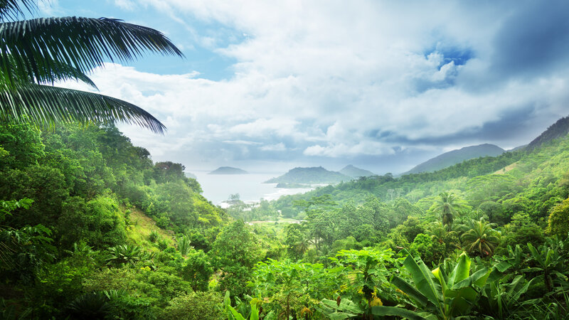 Seychellen-Mahé-natuur