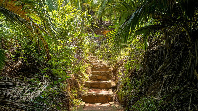 Seychellen-Praslin-Fond-Ferdinand-Nature-Reserve