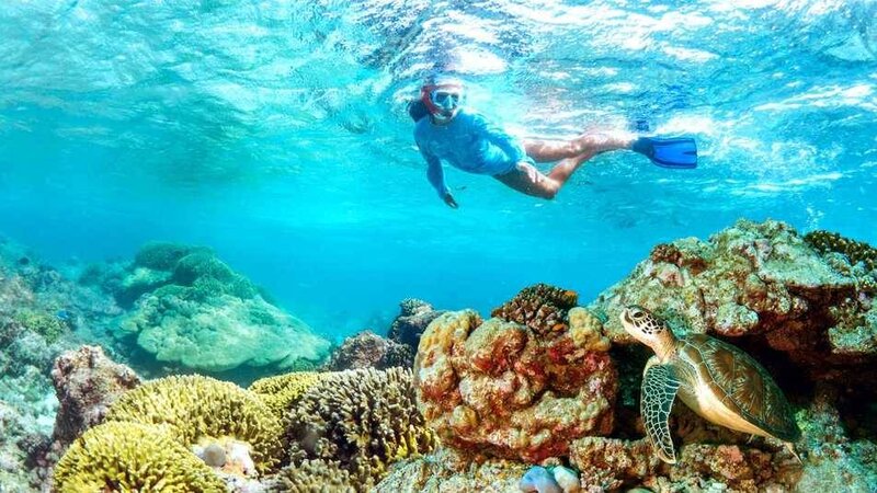 Seychellen-Private-eilanden-Alphonse-Island-snorkelen