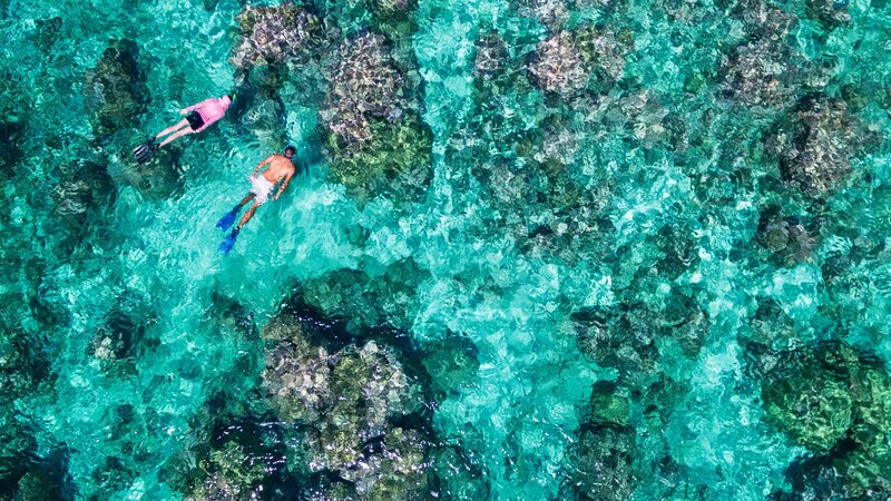 Seychellen-Private-eilanden-BlueSafari-Cosmo-Eco-Camp-koppel-snorkelen